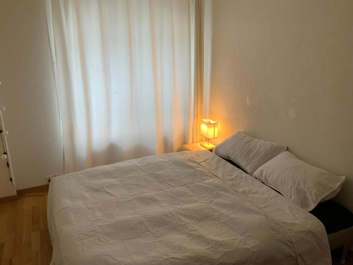 Lion Bb Swiss Apartment Zurich Ngoại thất bức ảnh