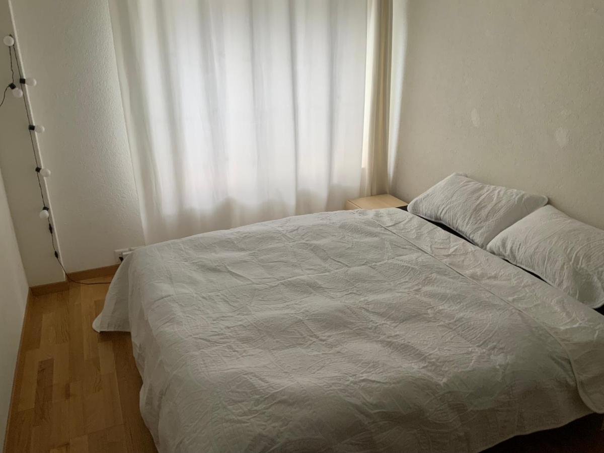 Lion Bb Swiss Apartment Zurich Ngoại thất bức ảnh