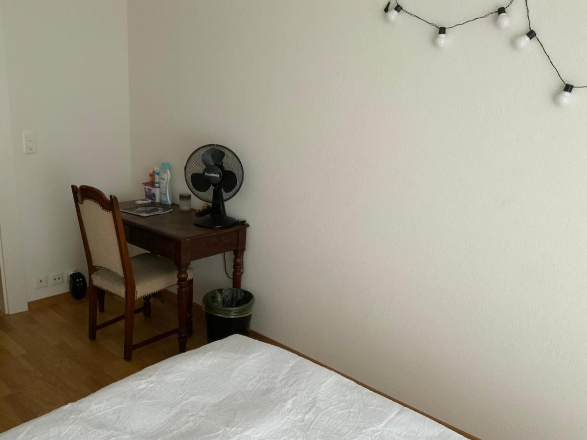 Lion Bb Swiss Apartment Zurich Ngoại thất bức ảnh