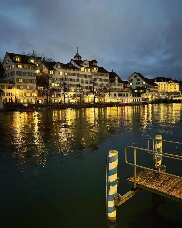 Lion Bb Swiss Apartment Zurich Ngoại thất bức ảnh