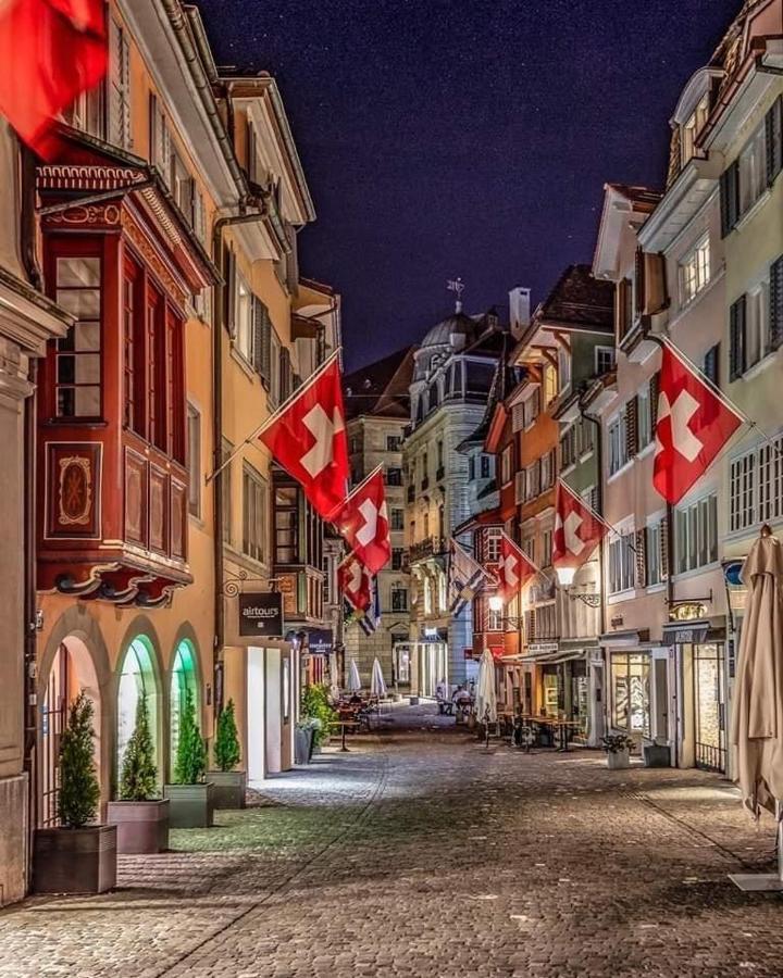 Lion Bb Swiss Apartment Zurich Ngoại thất bức ảnh