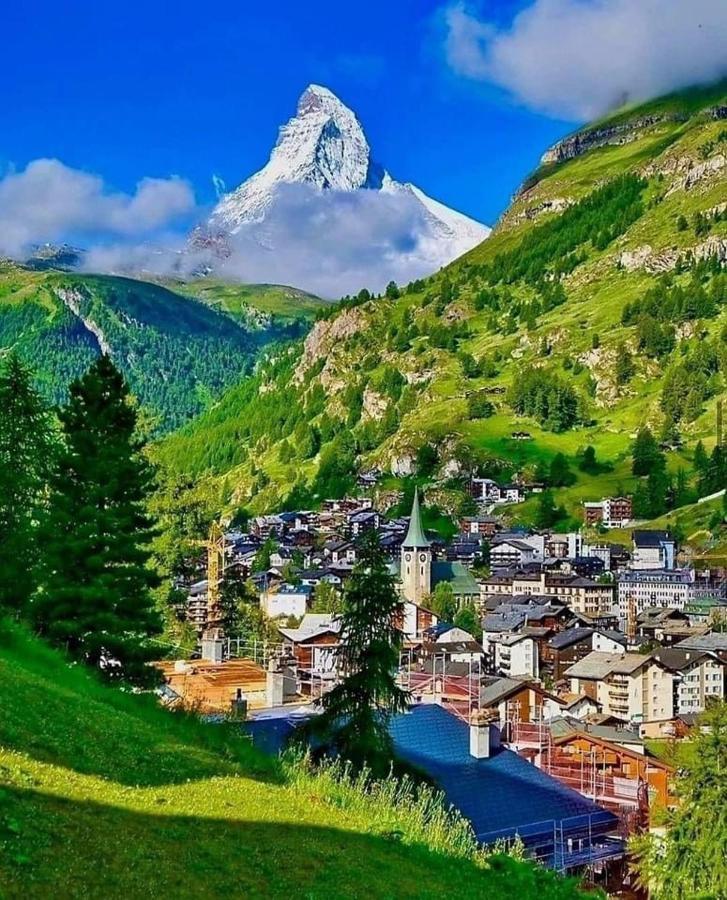 Lion Bb Swiss Apartment Zurich Ngoại thất bức ảnh